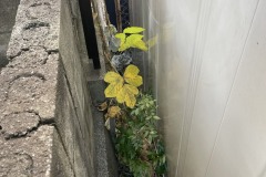 2025-12-04_15-29-58_393