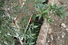 2025-12-04_15-30-11_489