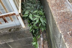 2025-12-04_15-30-13_904