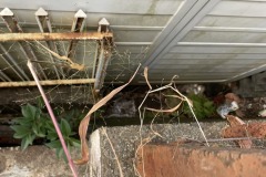 2025-12-04_15-30-40_307