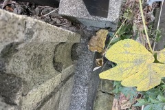 2025-12-04_15-31-37_199