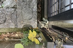 2025-12-04_15-31-51_046