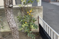 2025-12-04_15-32-59_009