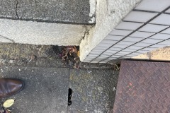 2025-12-04_15-34-45_618