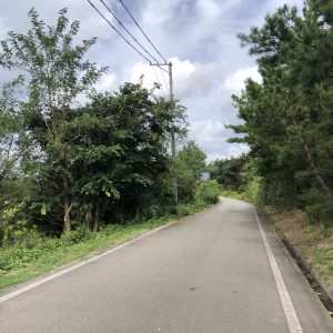 前面道路（２０２０年１０月６日撮影） (外観)