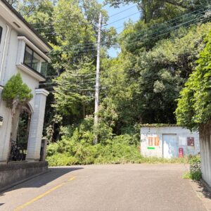 北側公道（令和8年6月24日撮影） (周辺)
